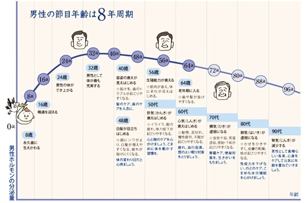 男性の８年サイクル